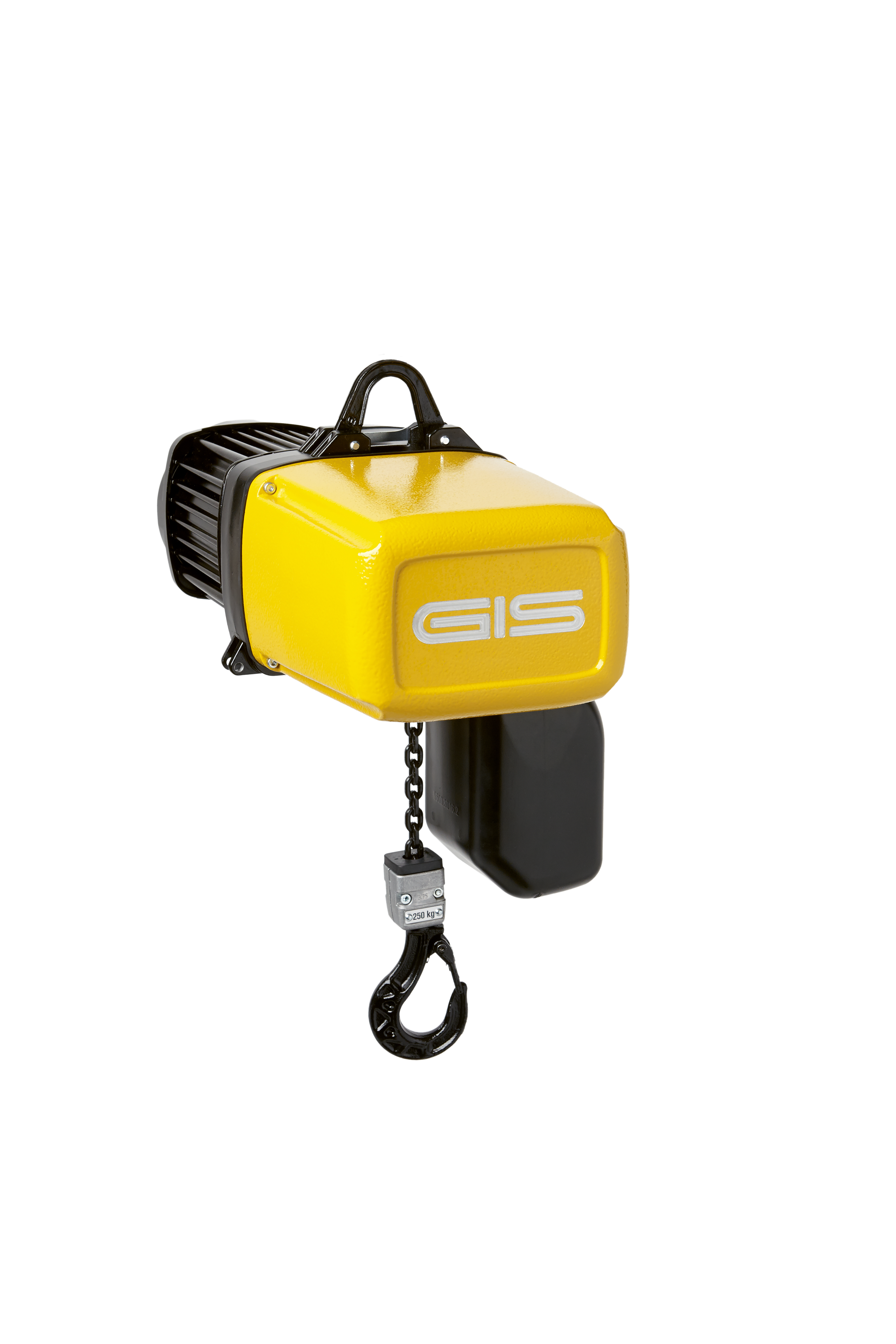 Elektrokettenzug GPM 250/1